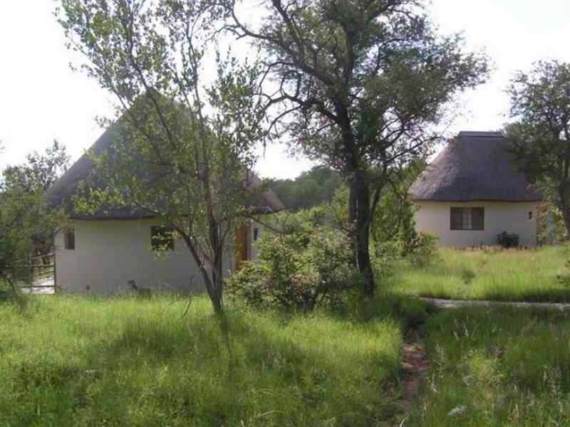 פאלאבורווה Mbizi Bush Lodge מראה חיצוני תמונה